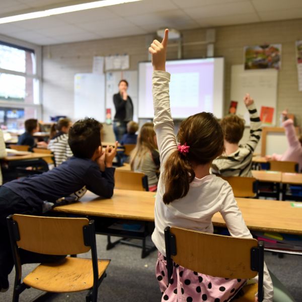 parental rights- curriculum